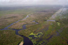 Airboat Rides West Palm Beach: what is the CERP