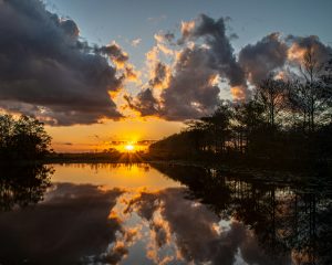 Airboat Rides West Palm Beach - sun setting